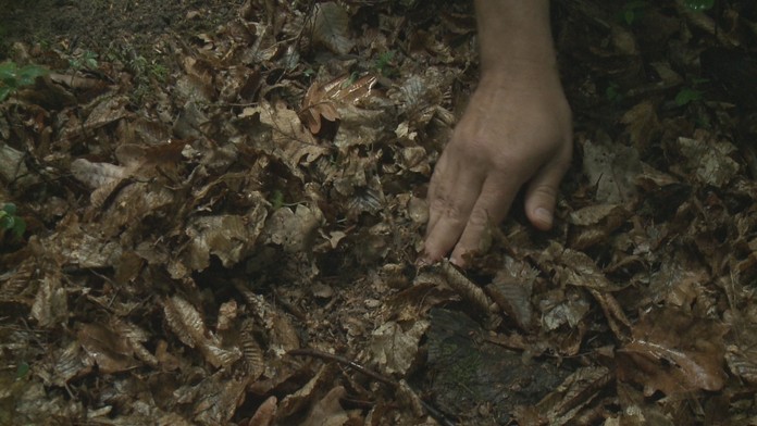 Predseda Smer-SD Robert Fico.