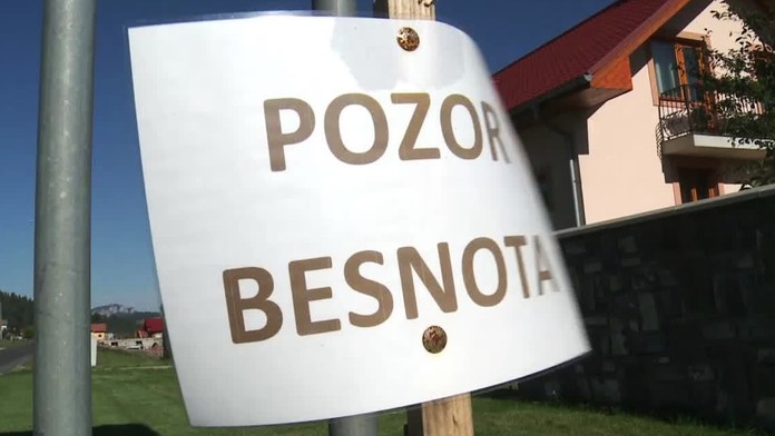 Besnota uväznila zvieratá na východe Slovenska. Psy a mačky z deviatich okresov nesmú prekročiť ich hranice