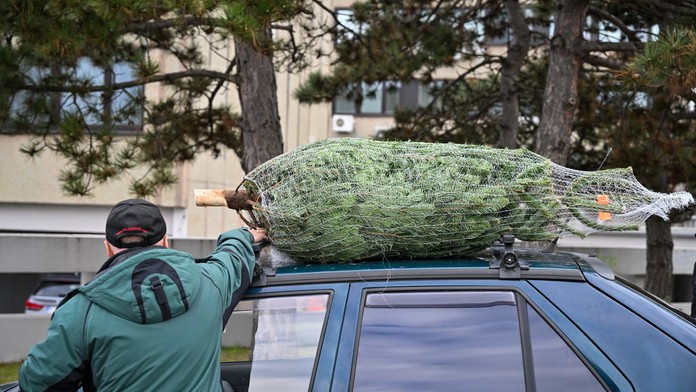Plánujete niesť stromček na svojom aute? Na tieto pravidlá si dajte pozor