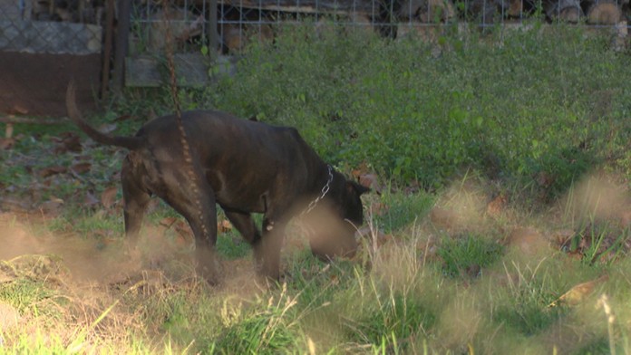 Identita zavraždenej odhalená