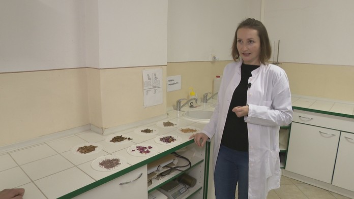 Ako chutia kobylky či cvrčková múka? V Nitre skúmajú, ako by sa dal hmyz zahrnúť medzi klasické pokrmy