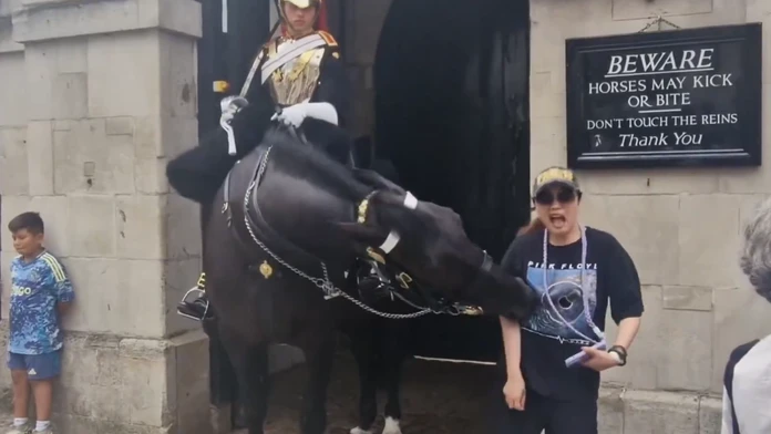 VIDEO: Kôň kráľovskej gardy uhryzol turistku, po chvíli sa zložila k zemi
