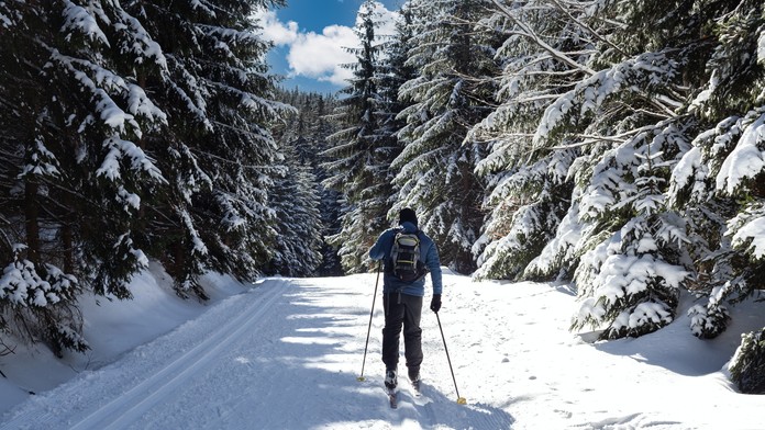 Ilustračná snímka