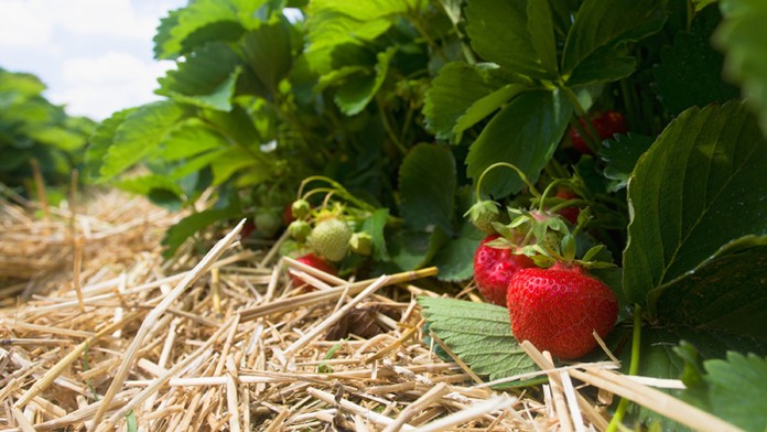 Ilustračná snímka.