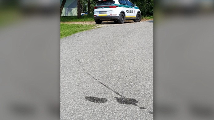 Policajti si vraj psa pomýlili s kameňom.