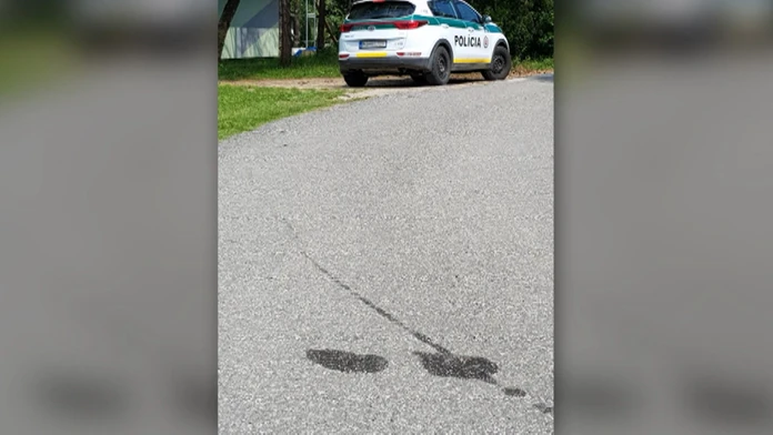Policajti si vraj psa pomýlili s kameňom.