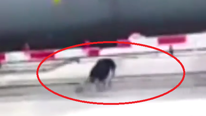 Bez názvu.png
