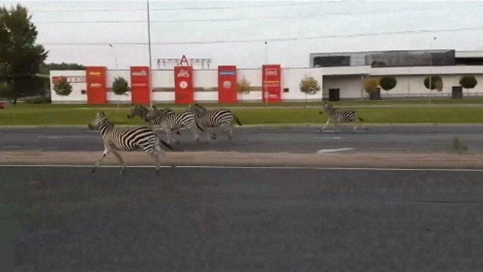 Islamský štát údajne zajal dvoch Rusov