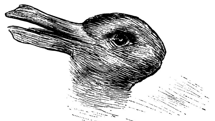 312F022400000578-3446183-How_fast_you_can_pick_the_animals_in_this_image_says_a_lot_about-a-1_1455448957620.jpg