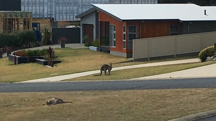 Žiaci boli na prechádzke.