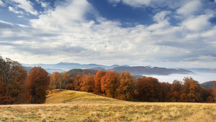 shutterstock_220187707.jpg