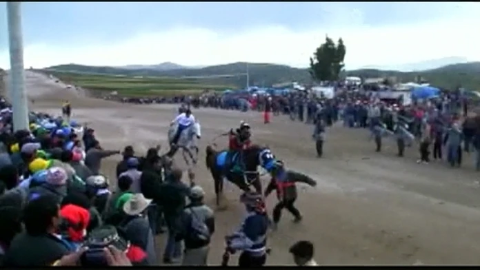 Muž zrážku s koňom neprežil