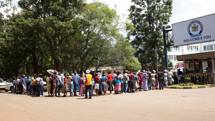 Opica zaútočila na moderátorku.