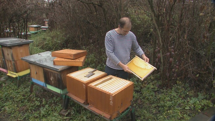 Jonathan Marchessault z Vegasu oslavuje gól proti Detroitu.