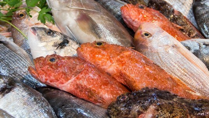 ktore-ryby-su-najlepsie-pre-nase-zdravie-.jpg