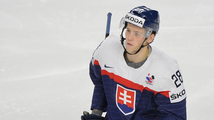 Na snímke brankár Július Hudáček (Slovensko) a  Frederik Storm (Dánsko).