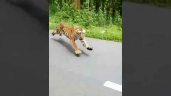 smrtak_tvnoviny.mp4