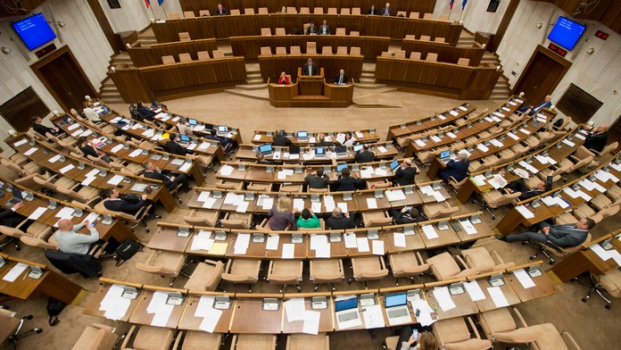 Kúpili mačku vo vreci I