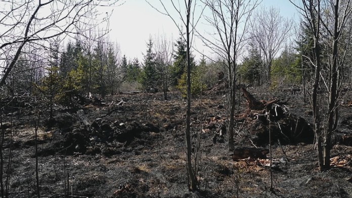 Podchod na Gorkého po explózii.