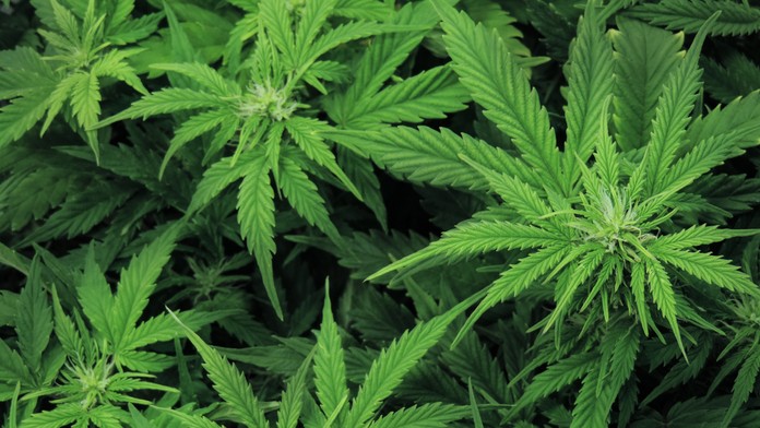 0712_Reflex_07_12_P20_Po_17_25__12.mp4