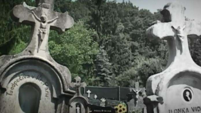 Bez názvu.png