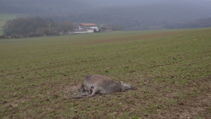 Pánska móda jeseň-zima