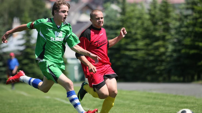 Appelia cup.jpg