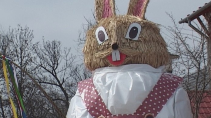 ZAJAC MEGAweb_jpg_bez_watermarku_1.jpg