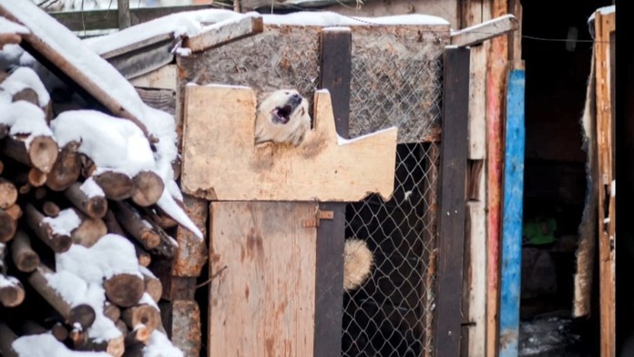 horucavy_tvnoviny.mp4