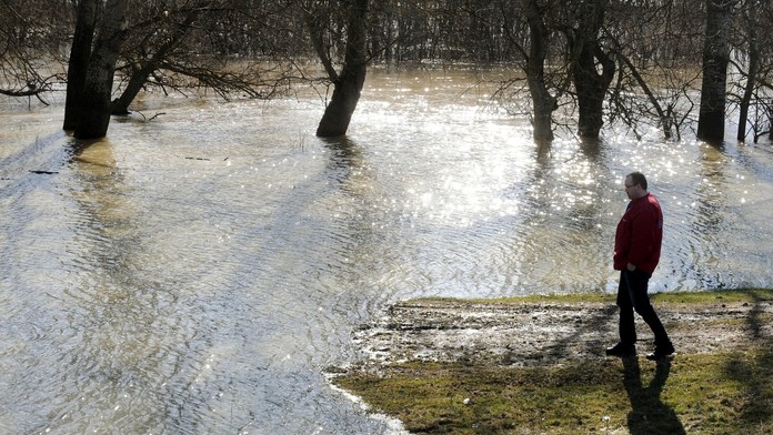 Latorica - ilustračná snímka.