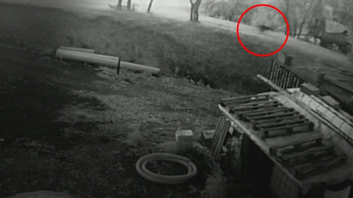 Záber z priemyselnej kamery.