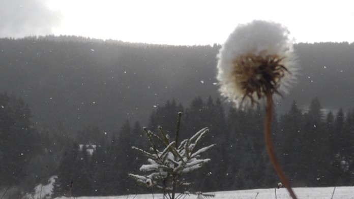 Ilustračná snímka.