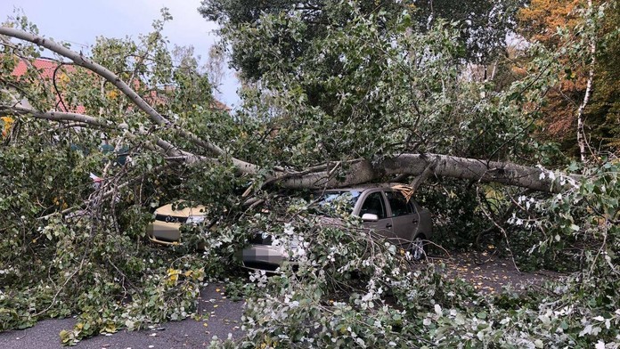 Najväčší tím mala dm drogerie markt. Umiestnili sa na treťom mieste za druhými Happy Kids a víťazmi Slovenských firemných hier L