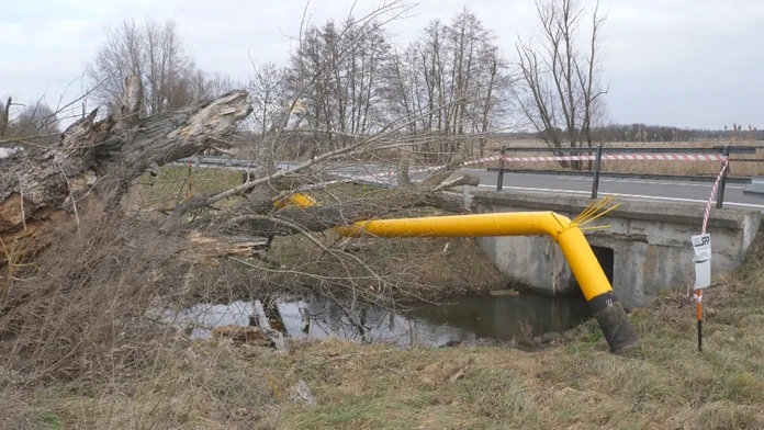Medzi Malackami a obcou Veľké Leváre spadol na plynové potrubie mohutný strom.
