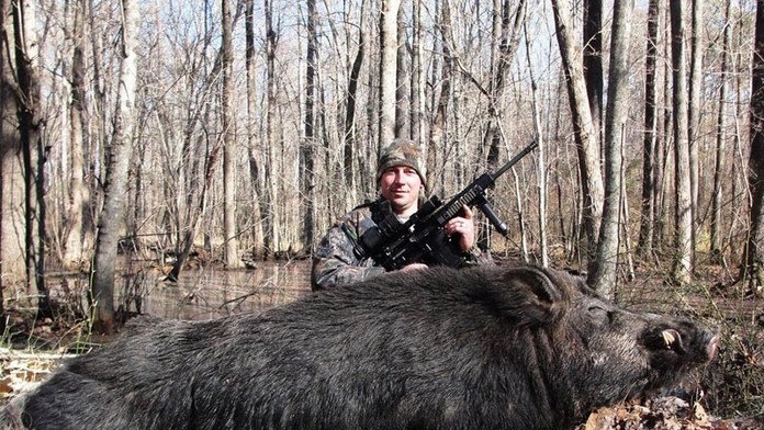 Kapitálna divá sviňa.