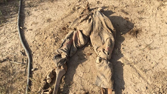 Mideast_Iraq662498239499.jpg