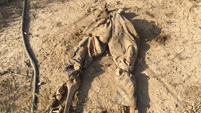 Mideast_Iraq662498239499.jpg