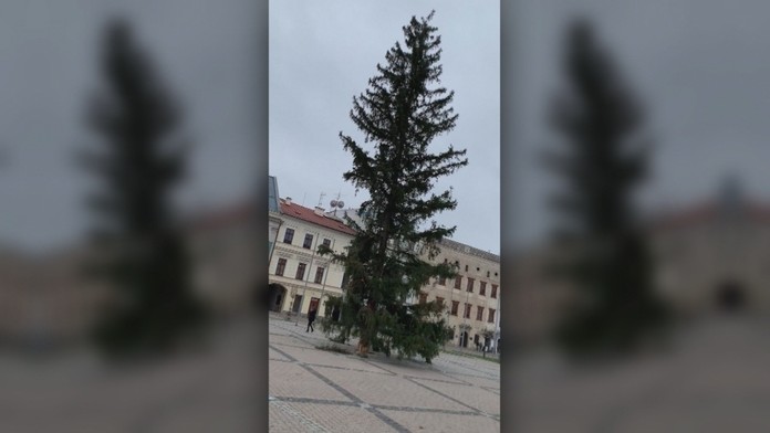 Hráči Leverkusenu oslavujú gól v LM na pôde Lokomotivu Moskva.
