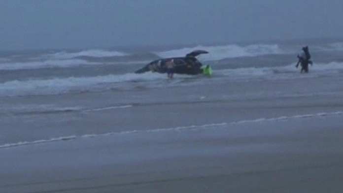 Florida, auto, oceán.