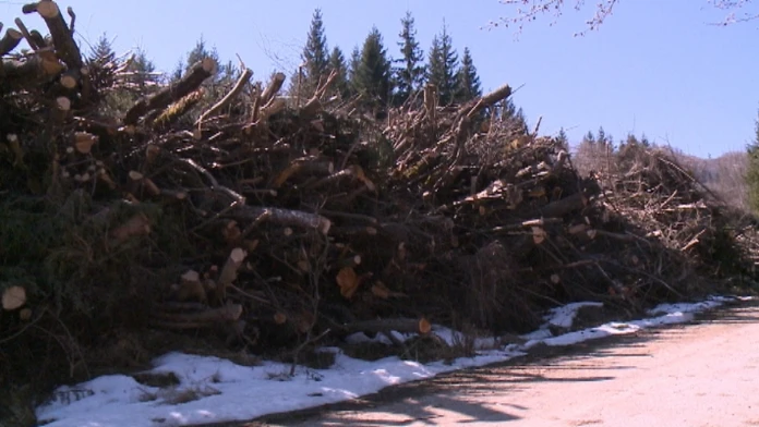 Nelegálny megavýrub