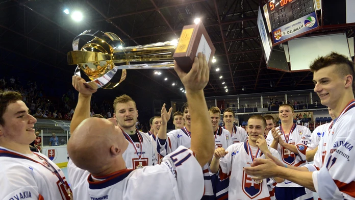 Hokejbal