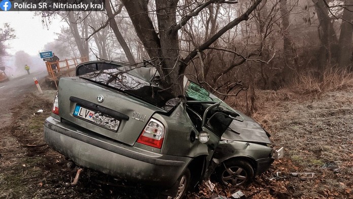 Dostal šmyk a narazil do stromu. Vodič nemal šancu náraz prežiť