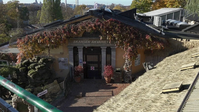 Panika vo Švédskej ZOO. Museli zatvoriť oddelenie hadov, ušla kobra prezývaná Houdini