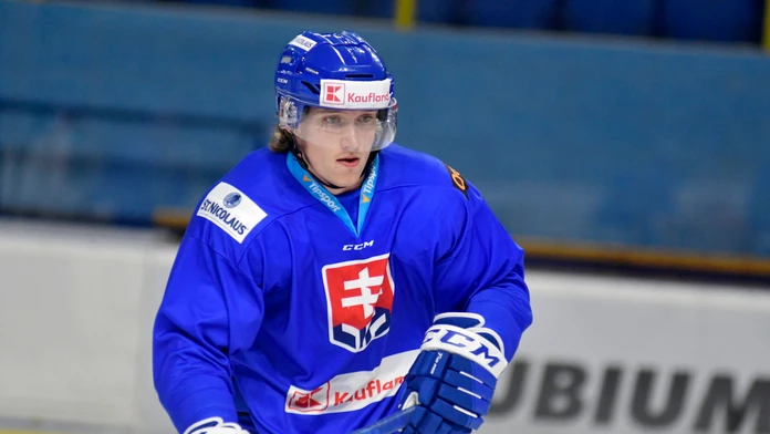 Útočník Tomáš Tatar počas tréningu na zraze reprezentácie v príprave pred MS.