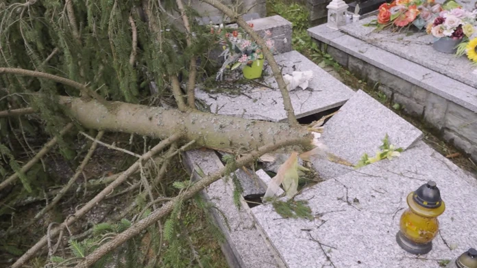 Zničené pomníky a vyvalené stromy.