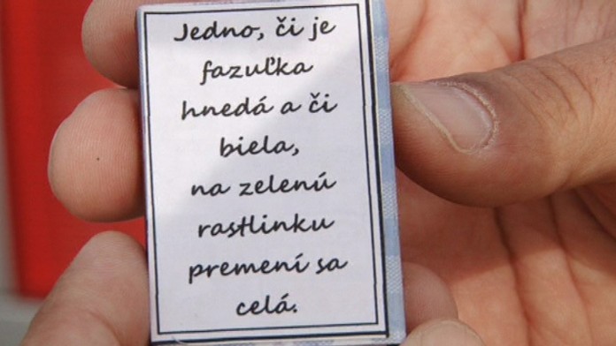 fazulky.jpg
