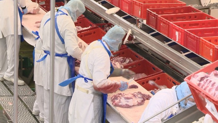 Zamestnanci vo výrobe.