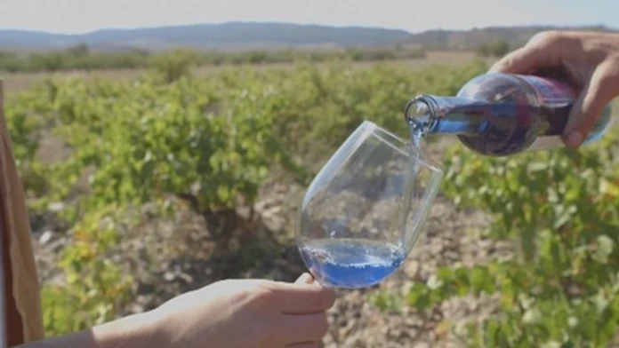 modre-vino.jpg