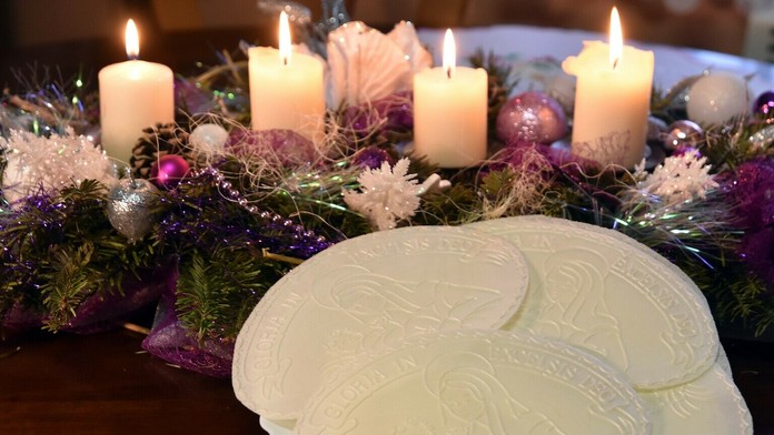 Ľadové medvede na Draždiaku.