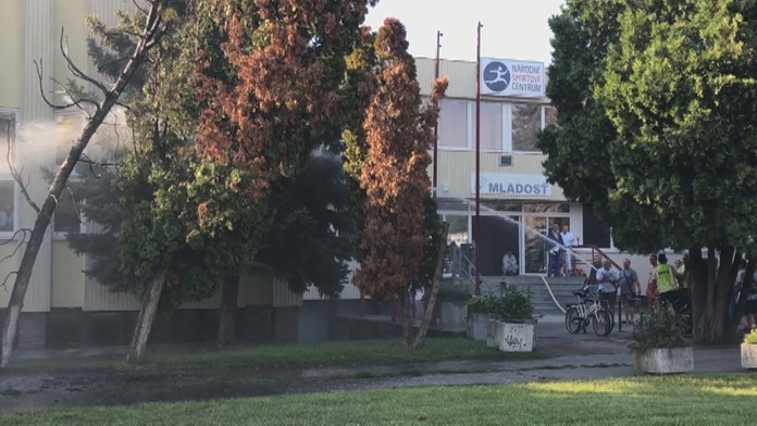 Horeli stromy pri chodníku.